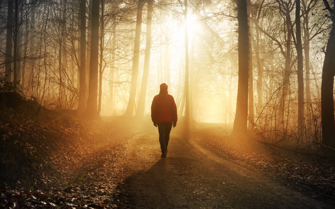 Building Resilient Leaders – and Followers