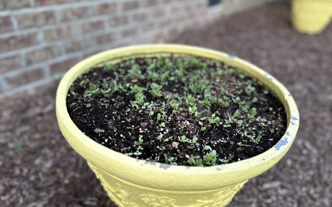 Moving Forward: Not a Life Hack